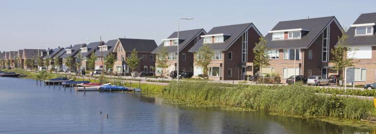 Rij huizen met riet en boompje ervoor